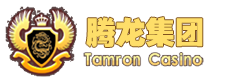腾龙公司官方网站